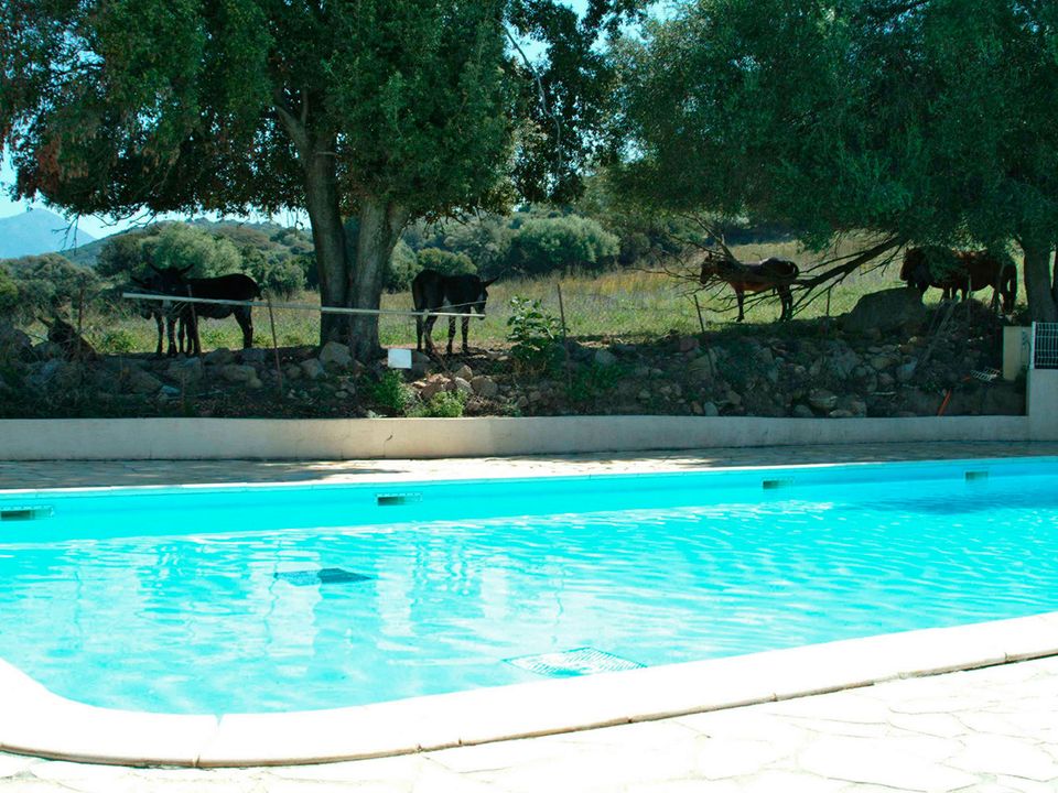 Camping U Sommalu - Camping Zuid-corsica