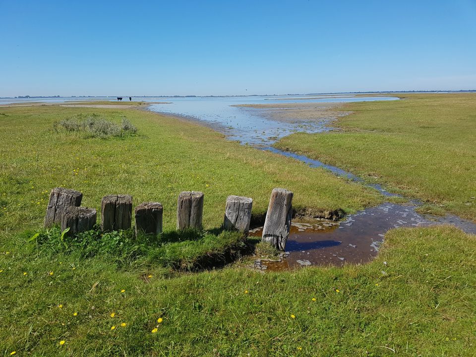 summio-vakantiepark-zeedijk