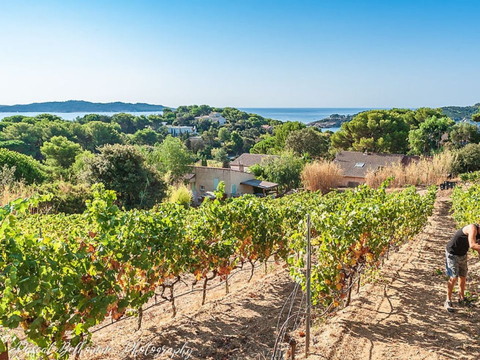 Domaine de la Presqu'île de Giens - Camping Var