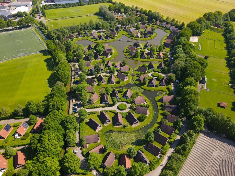 t-hooge-holt