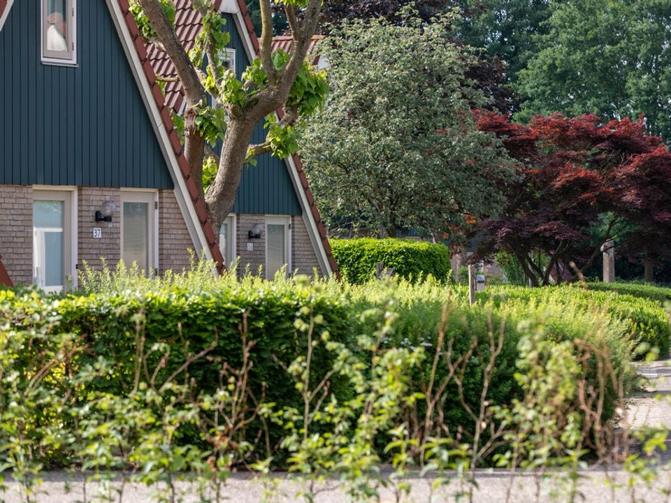 vakantiepark-molendal