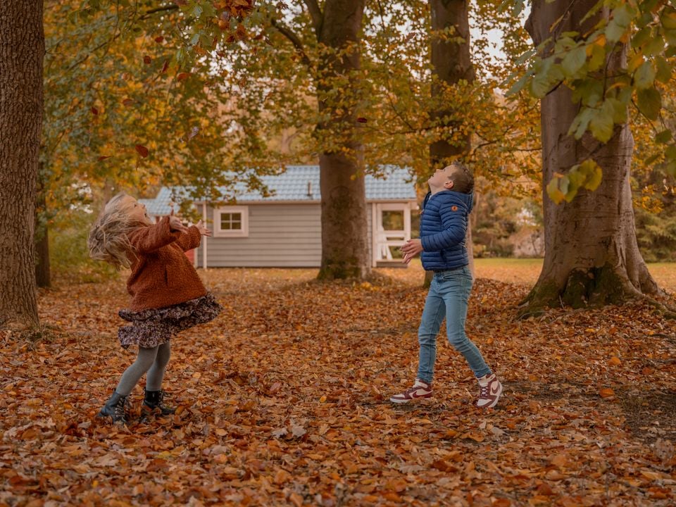 Vakantiepark Witterzomer