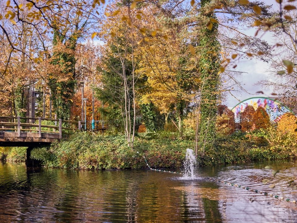 impressie Center Parcs Park Erperheide