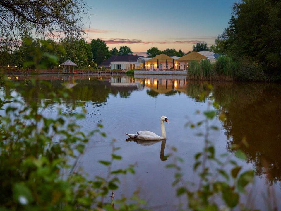 impressie Center Parcs Limburgse Peel