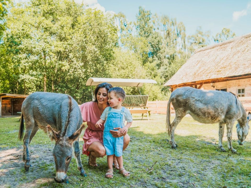 Vakantiepark Dierenbos