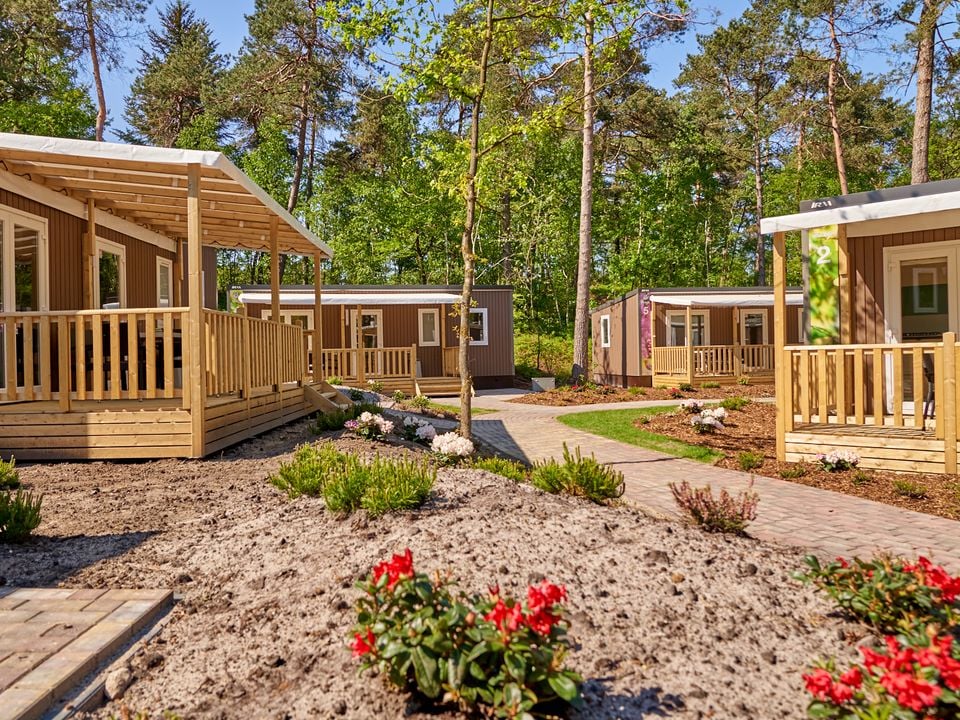 vakantiepark-het-lierderholt