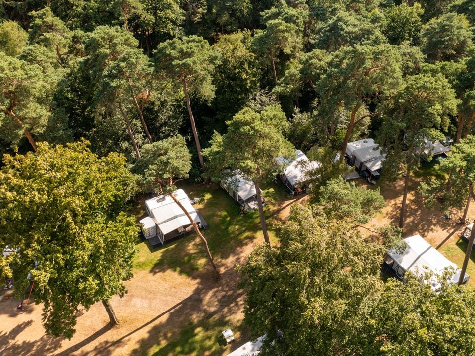 rcn-vakantiepark-het-grote-bos