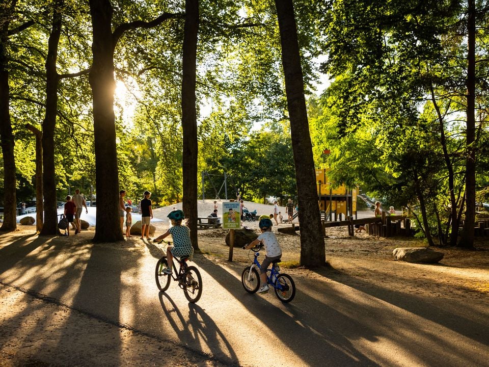 rcn-vakantiepark-het-grote-bos