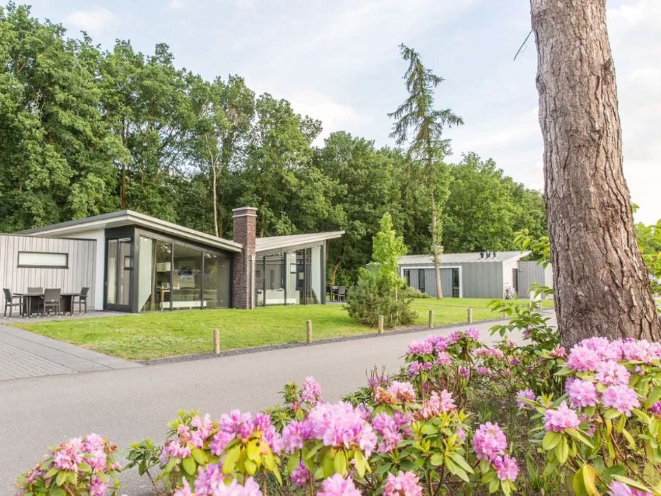 landal-amerongse-berg