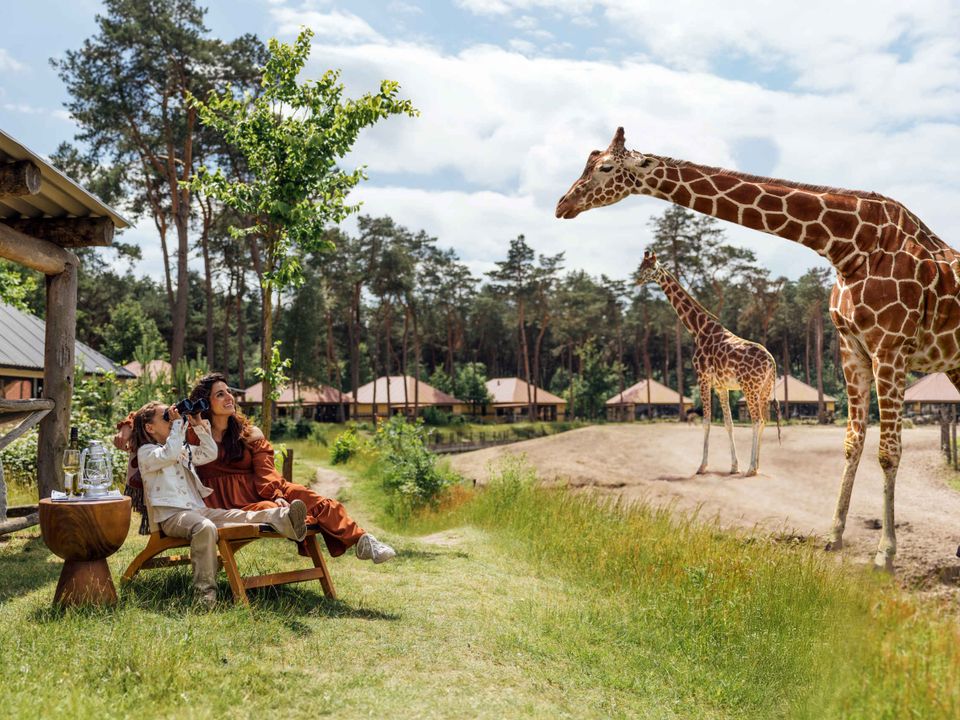 Safari Resort Beekse Bergen