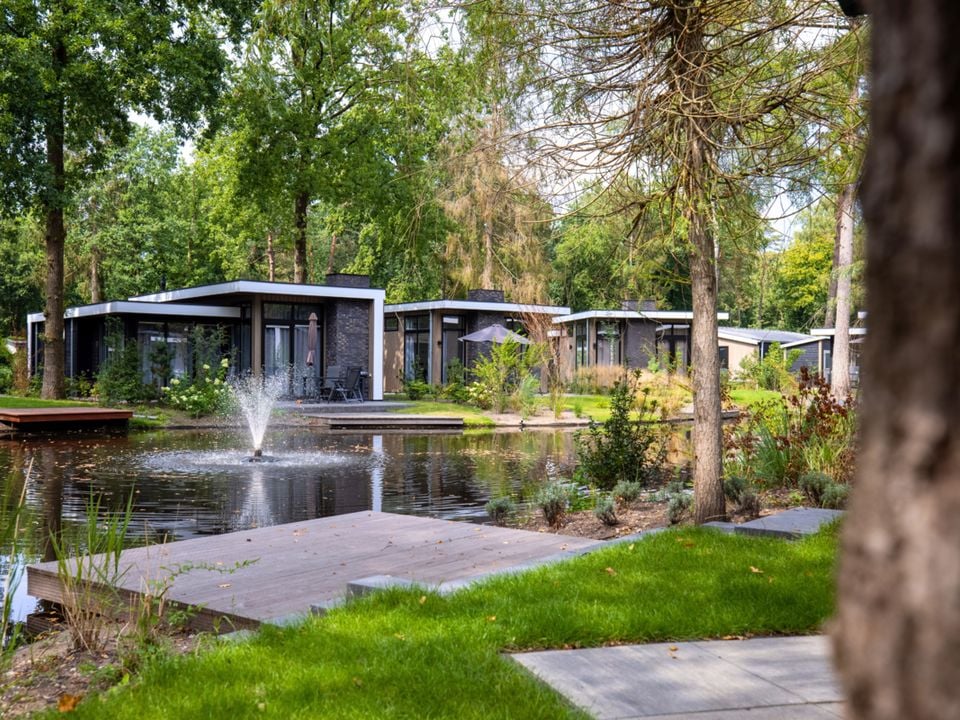 De Rimboe & Woeste Hoogte