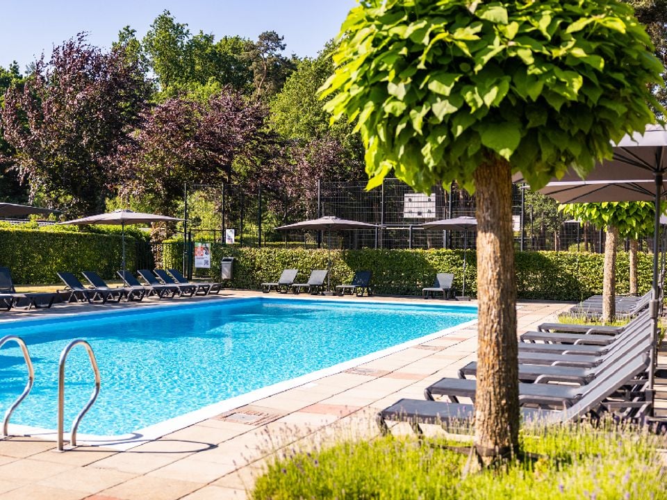 Vakantiepark Molenvelden