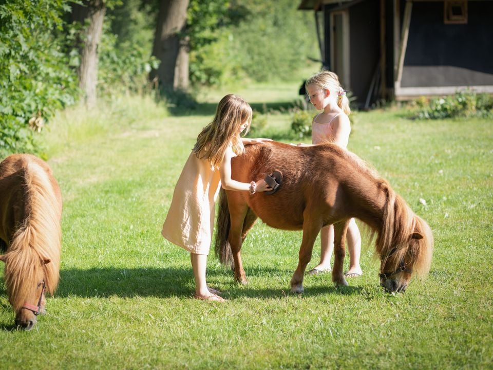landrijk-de-reesprong