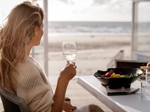 Landal Strandhuisjes Wijk aan Zee - Beverwijk - Afbeelding N°3
