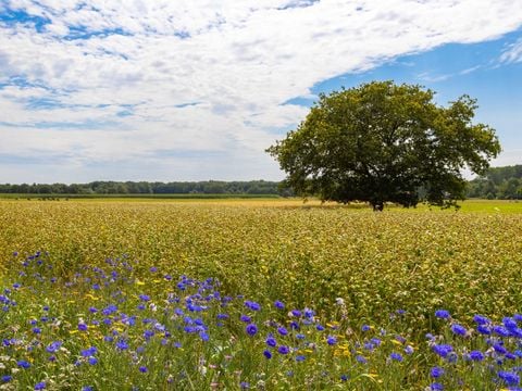 Camping de Kleine Wereld - Ommen