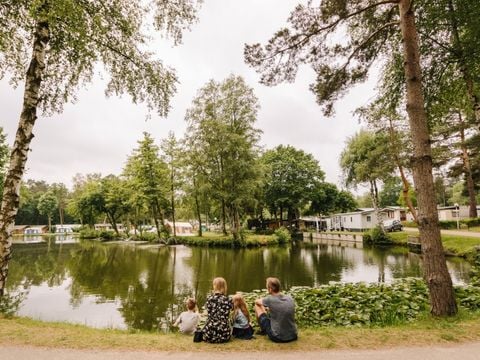 Camping Zavelbos - Camping Belgisch Limburg - Afbeelding N°0