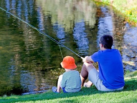 Camping Zavelbos - Camping Belgisch Limburg - Afbeelding N°4