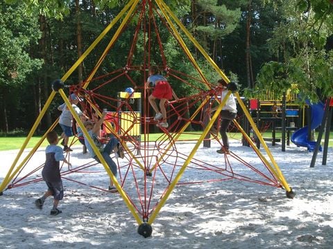 Camping Zavelbos - Camping Belgisch Limburg - Afbeelding N°2