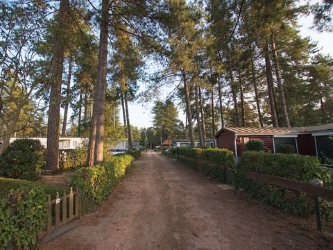 Arden Parks Tulderheyde - Camping Antwerpen