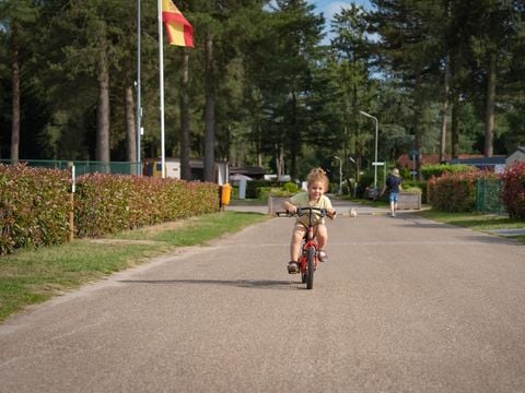 Arden Parks Tulderheyde - Camping Antwerpen - Afbeelding N°5