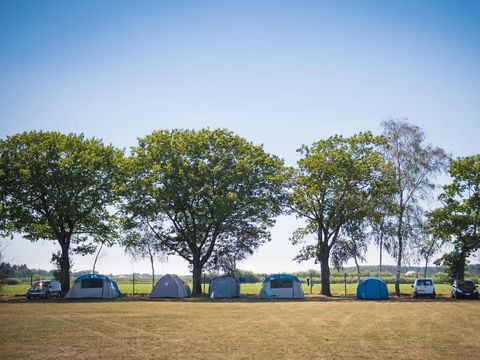 Arden Parks Tulderheyde - Antwerpen - Afbeelding N°5
