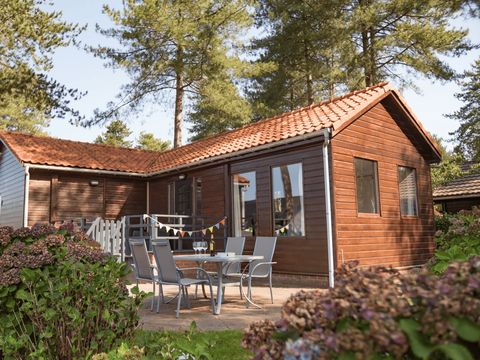 Arden Parks Tulderheyde - Camping Antwerpen - Afbeelding N°2