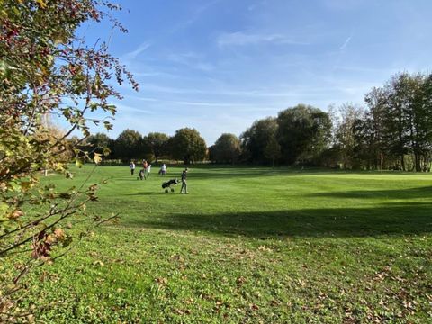 Villapark de Hondsrug - Camping Borger-Odoorn - Afbeelding N°5