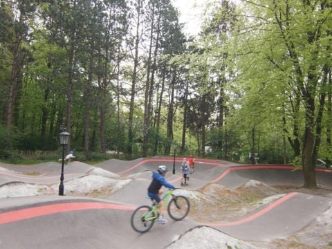 Villapark de Hondsrug - Camping Borger-Odoorn - Afbeelding N°4