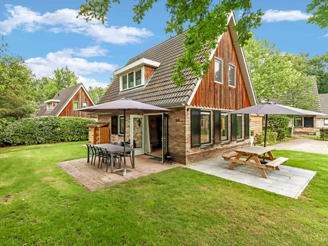 Villapark de Hondsrug - Camping Borger-Odoorn - Afbeelding N°2