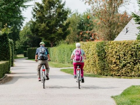 Drentse Vennen - Camping Noordenveld - Afbeelding N°4