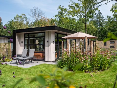 TopParken Resort de Brabantse Kempen - Reusel-De-Mierden - Afbeelding N°41