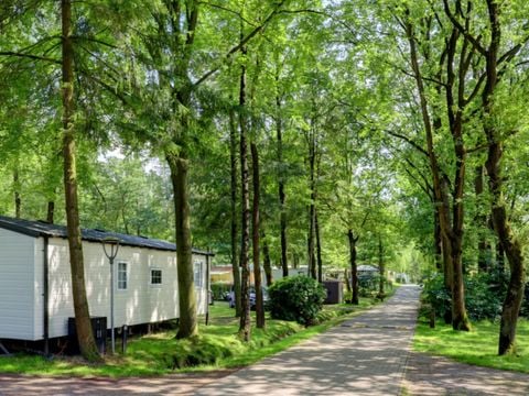 Vodatent Camping het Veen - Camping West-Vlaanderen
