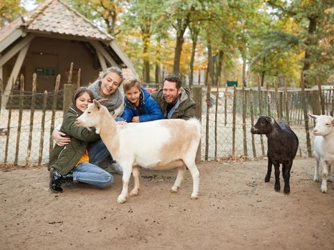 Center Parcs Nordborg Resort - Camping Zuid-Denemarken - Afbeelding N°3