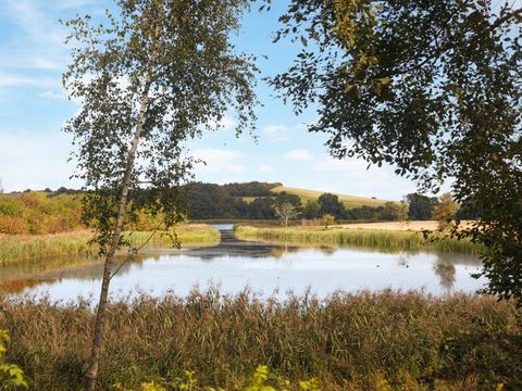Center Parcs Nordborg Resort - Zuid-Denemarken - Afbeelding N°45