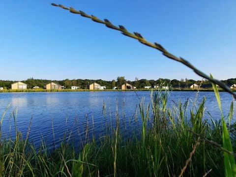 Recreatiepark de Bosrand - Camping Friese Meren - Afbeelding N°0