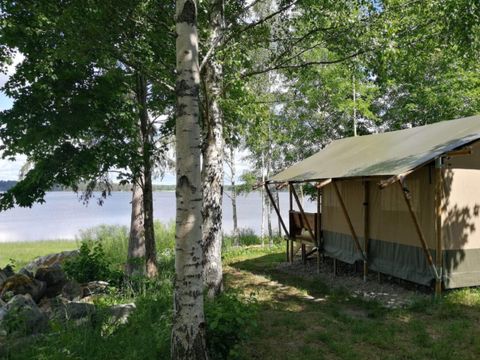 Vodatent Camping Falkudden - Camping Västernorrland - Afbeelding N°3