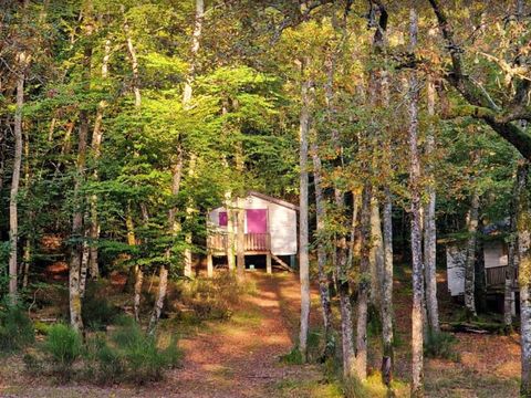 Vodatent Camping Montard  - Camping Corrèze - Afbeelding N°4