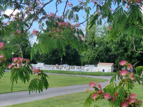 Camping Saintes Grandes Rives - Camping Charente-Maritime