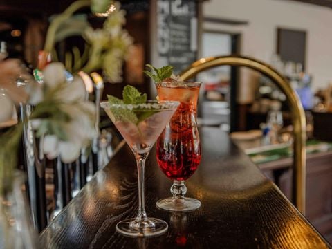 Veluwepark de Bosgraaf - Apeldoorn