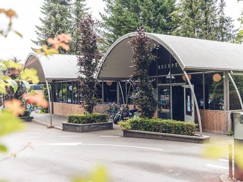 Veluwepark de Bosgraaf - Apeldoorn - Afbeelding N°8