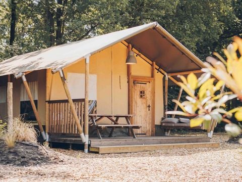 Veluwepark de Bosgraaf - Apeldoorn - Afbeelding N°3