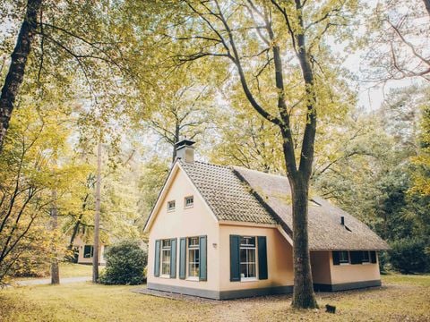 Landgoed Het Grote Zand - Midden-Drenthe - Afbeelding N°0