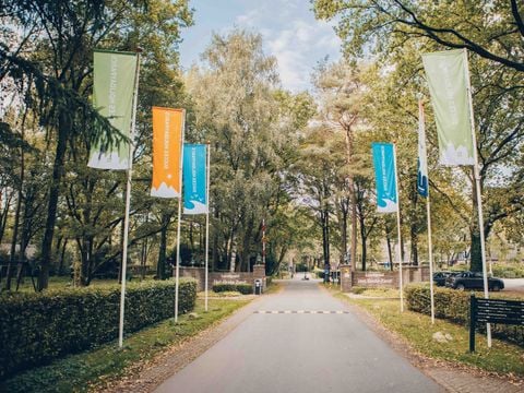 Landgoed Het Grote Zand - Camping Midden-Drenthe - Afbeelding N°4