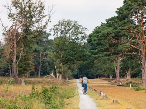 Landgoed Het Grote Zand - Midden-Drenthe