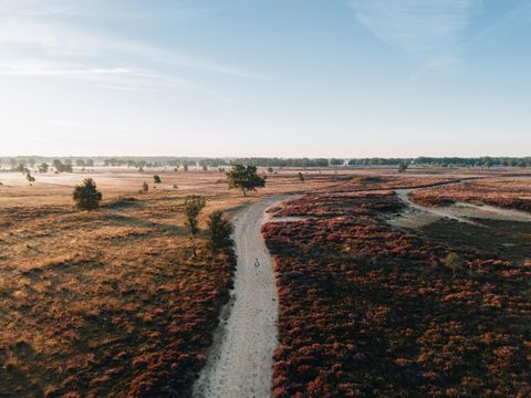 Landgoed Het Grote Zand - Midden-Drenthe - Afbeelding N°24