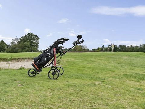 Buitenplaats de Hildenberg - Camping Ooststellingwerf - Afbeelding N°4