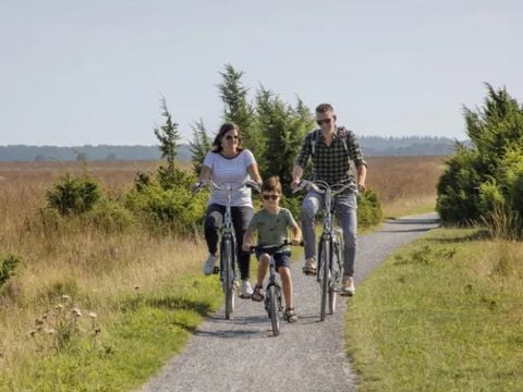 Buitenplaats de Hildenberg - Camping Ooststellingwerf - Afbeelding N°5