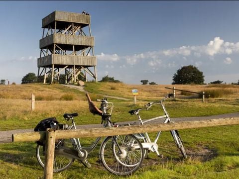 Buitenplaats de Hildenberg - Camping Ooststellingwerf - Afbeelding N°2