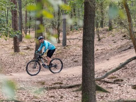 Buitenplaats de Hildenberg - Ooststellingwerf