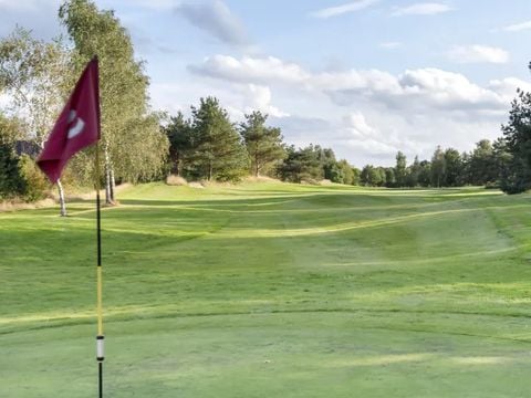 Buitenplaats de Hildenberg - Camping Ooststellingwerf - Afbeelding N°4